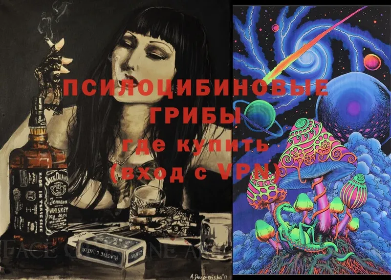 Галлюциногенные грибы Psilocybine cubensis  Абинск 